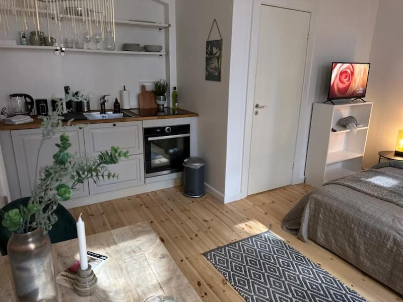 Fantastic Studio Apartment Köpenhamn Exteriör bild